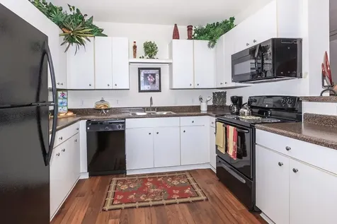 10965 S Gessner Drive 1110 Houston TX 77071