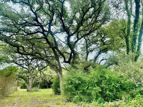 74 Acres County Road 312 Hallettsville TX 77964