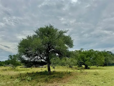 74 Acres County Road 312 Hallettsville TX 77964
