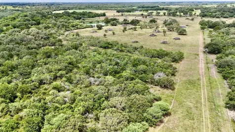 74 Acres County Road 312 Hallettsville TX 77964