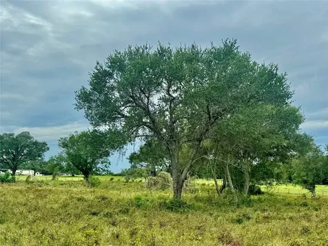 74 Acres County Road 312 Hallettsville TX 77964