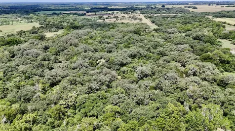 74 Acres County Road 312 Hallettsville TX 77964