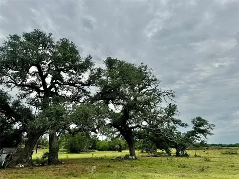 74 Acres County Road 312 Hallettsville TX 77964