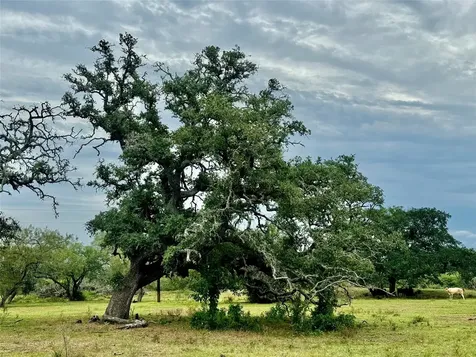 74 Acres County Road 312 Hallettsville TX 77964