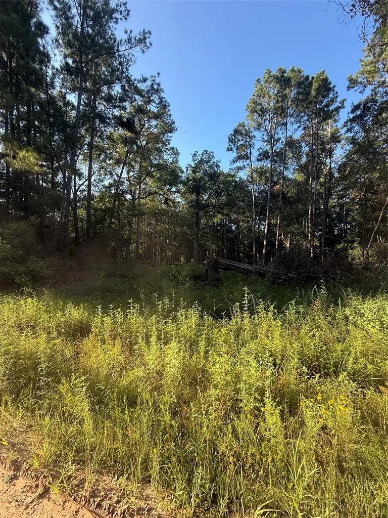 Tbd Charlie Pride Drive Livingston TX 77351
