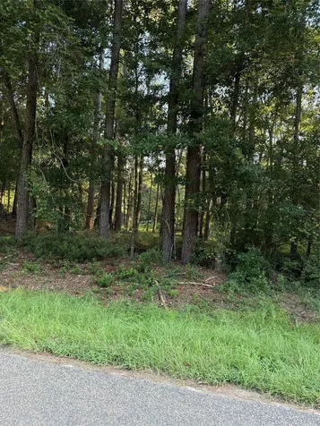Tbd Charlie Pride Drive Livingston TX 77351