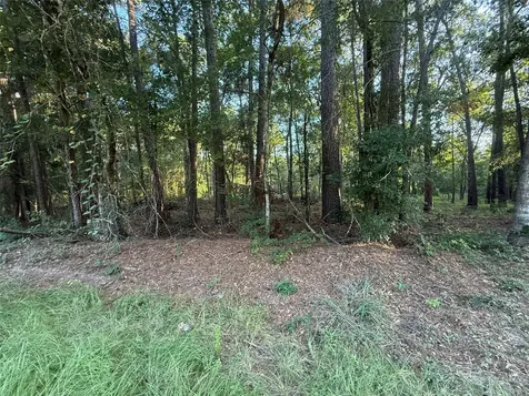 Tbd Charlie Pride Drive Livingston TX 77351
