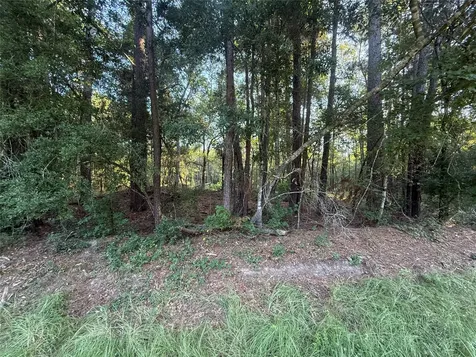 Tbd Charlie Pride Drive Livingston TX 77351