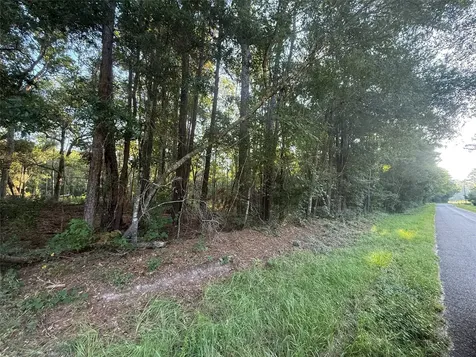 Tbd Charlie Pride Drive Livingston TX 77351