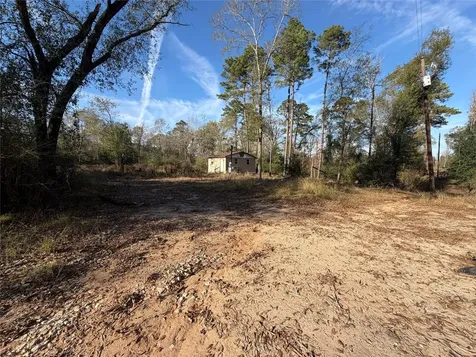 Tbd Deodar Drive Brookeland TX 75931