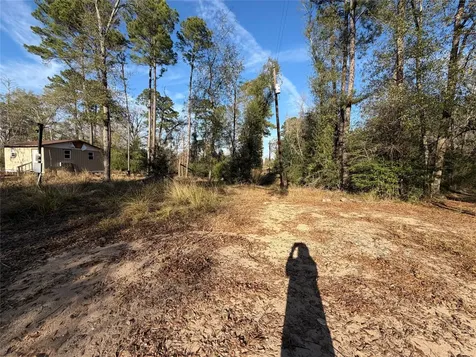 Tbd Deodar Drive Brookeland TX 75931
