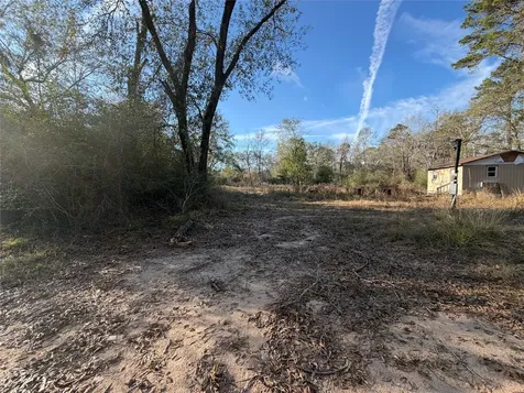Tbd Deodar Drive Brookeland TX 75931