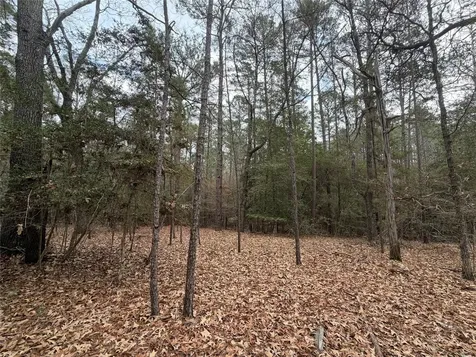 Tbd Deodar Drive Brookeland TX 75931