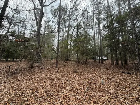 Tbd Deodar Drive Brookeland TX 75931
