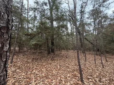 Tbd Deodar Drive Brookeland TX 75931