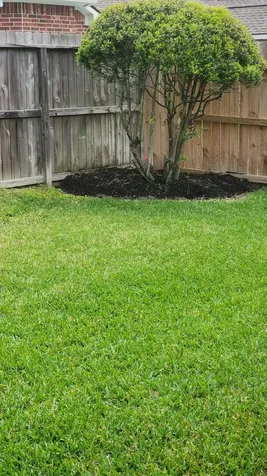 13906 Normandy Court Sugar Land TX 77498