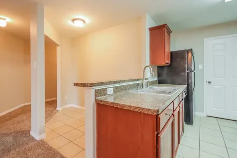 9518 Peridot Green Drive Rosharon TX 77583