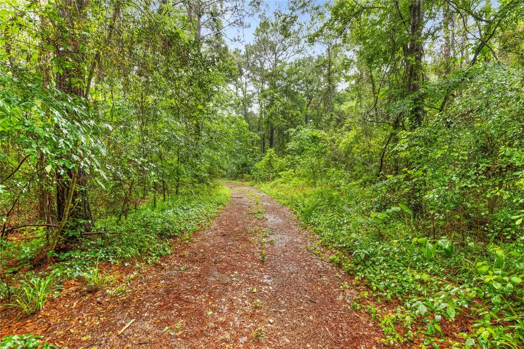 Tbd Whispering Pines Lane Plantersville TX 77363