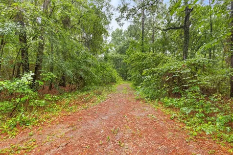 Tbd Whispering Pines Lane Plantersville TX 77363