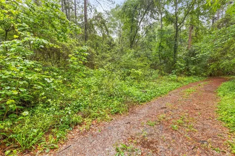 Tbd Whispering Pines Lane Plantersville TX 77363