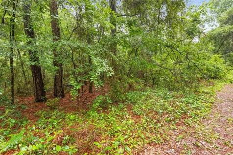 Tbd Whispering Pines Lane Plantersville TX 77363