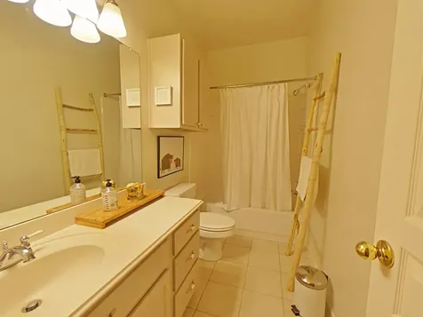 42 Tranquil Glade Place The Woodlands TX 77381