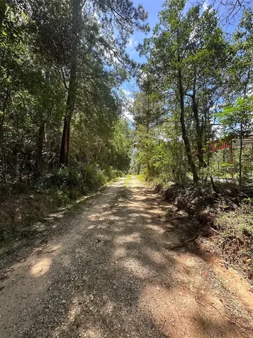150 Mcbride Trail Coldspring TX 77331