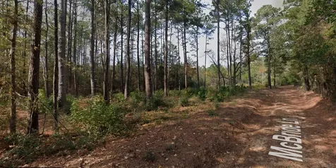 150 Mcbride Trail Coldspring TX 77331