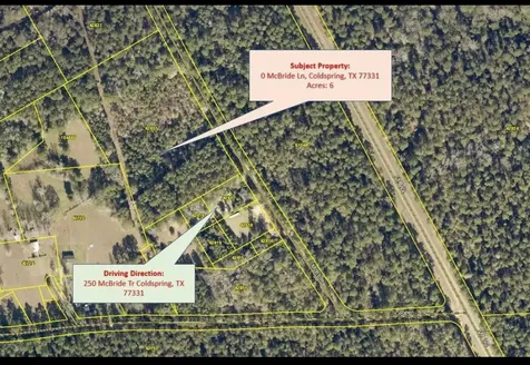 150 Mcbride Trail Coldspring TX 77331