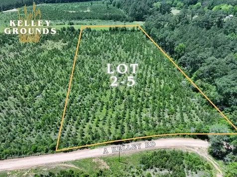 2-6 A Kelley Road Livingston TX 77351