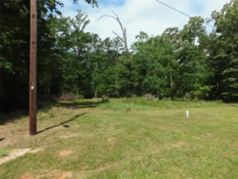 195 Moonlite Drive Livingston TX 77351