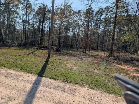195 Moonlite Drive Livingston TX 77351