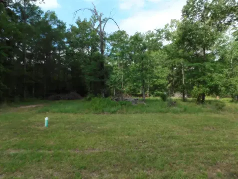 195 Moonlite Drive Livingston TX 77351