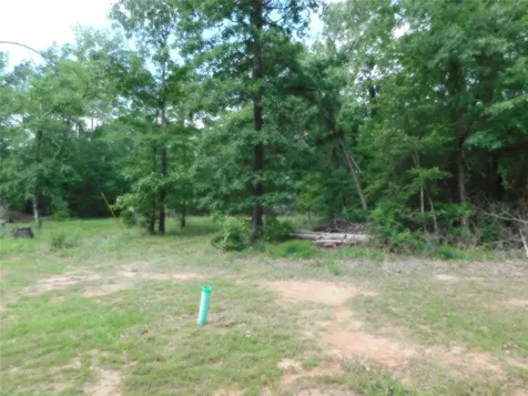 195 Moonlite Drive Livingston TX 77351