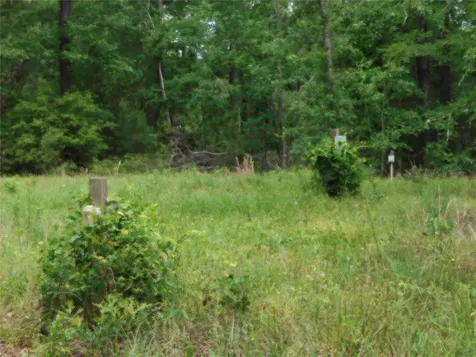 195 Moonlite Drive Livingston TX 77351