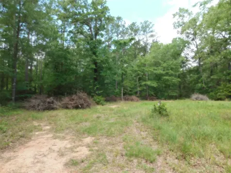 195 Moonlite Drive Livingston TX 77351