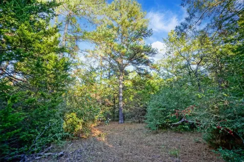 45 Acres Fcr 930 Teague TX 75860