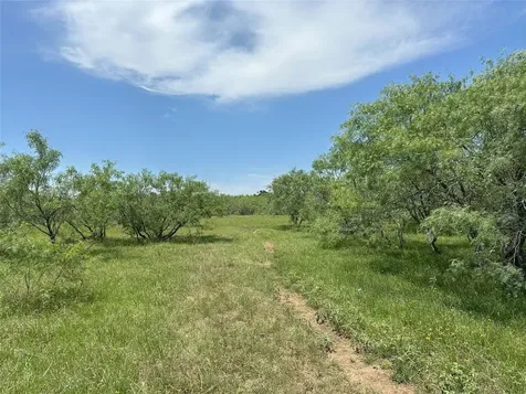 8110 N Highway 77 Lexington TX 78947