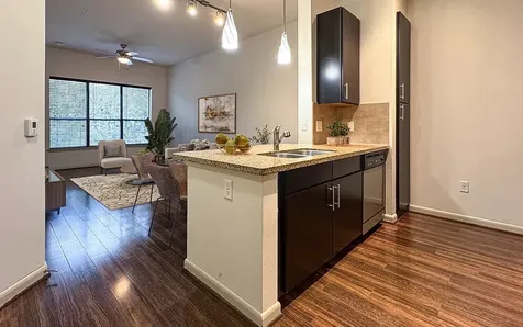 306 Mcgowen Street 1116 Houston TX 77006
