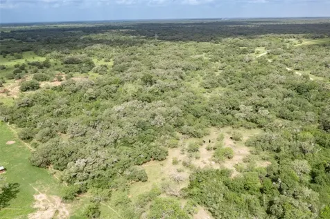 24.68 Acres Cattle Guard Road Yoakum TX 77995