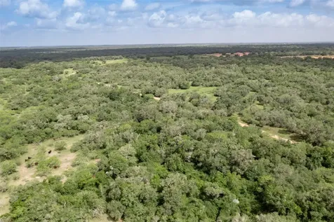 24.68 Acres Cattle Guard Road Yoakum TX 77995