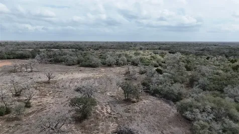 24.68 Acres Cattle Guard Road Yoakum TX 77995