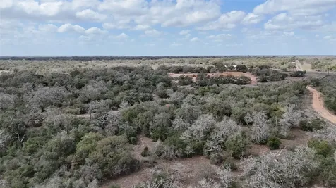24.68 Acres Cattle Guard Road Yoakum TX 77995