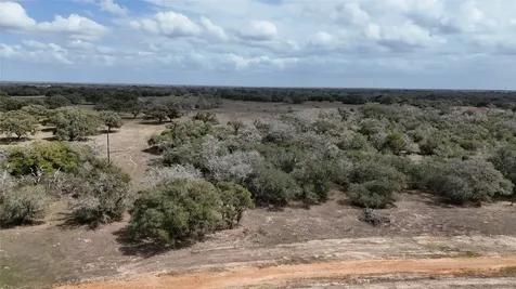 24.68 Acres Cattle Guard Road Yoakum TX 77995
