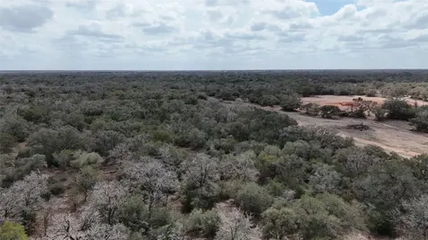 24.68 Acres Cattle Guard Road Yoakum TX 77995