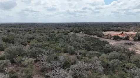 24.68 Acres Cattle Guard Road Yoakum TX 77995