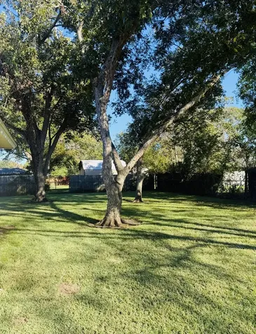 1457 Camellia Drive Sweeny TX 77480