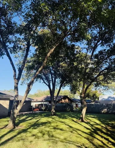 1457 Camellia Drive Sweeny TX 77480