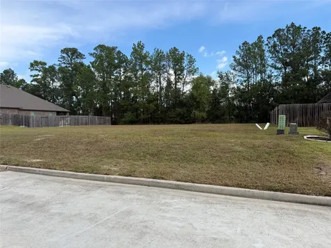 15706 Gibson Grass Court Spring TX 77379