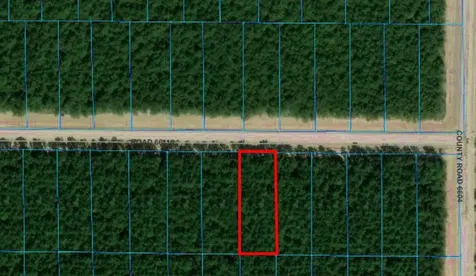1878 Road 66116 Dayton TX 77535